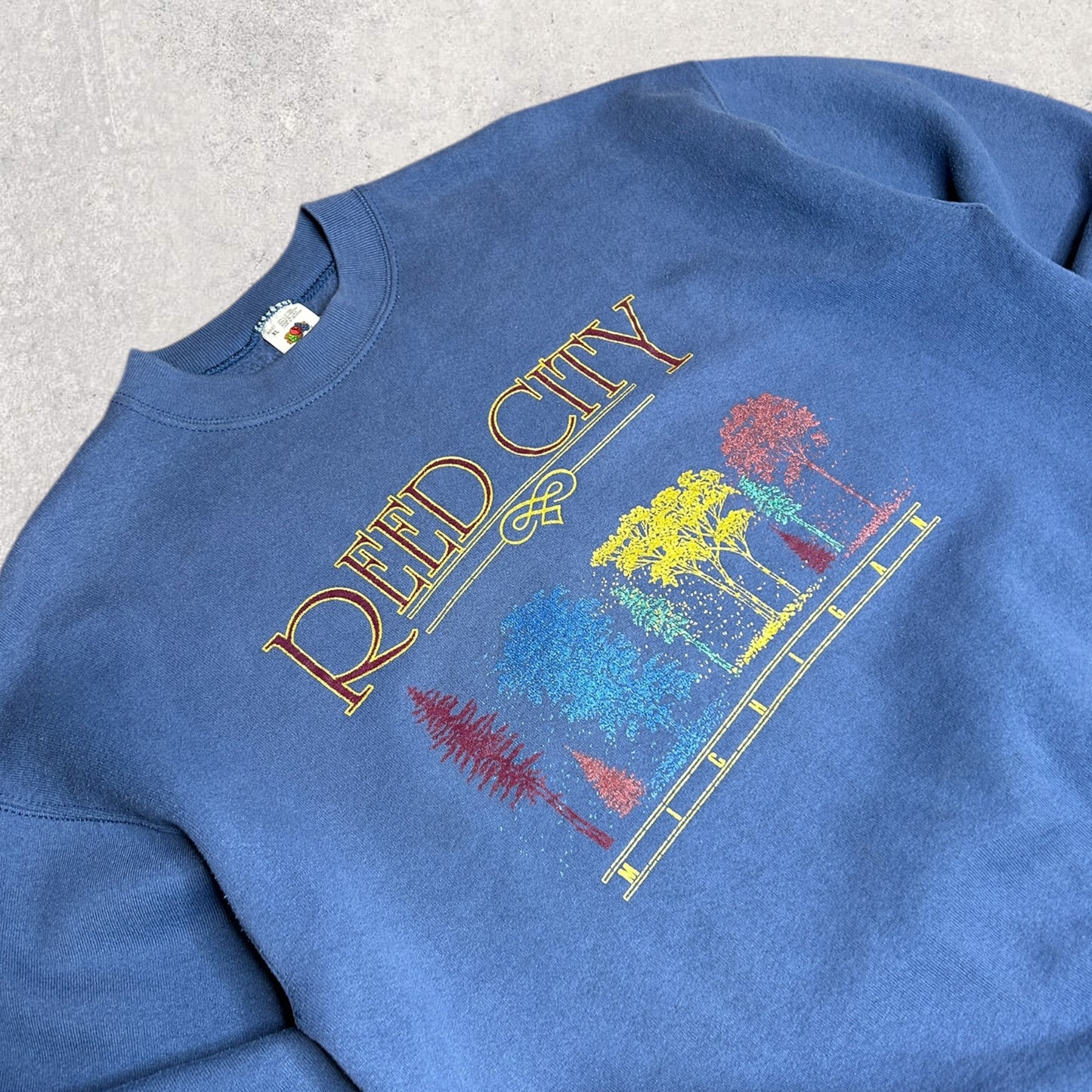 Reed City Vintage College(XL)
