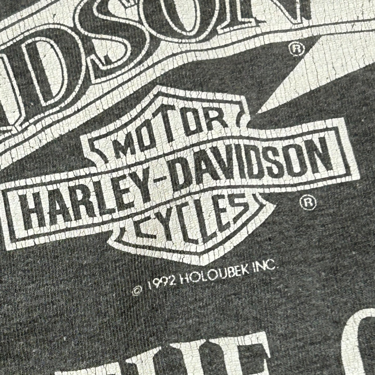 Harley Davidson Rules 1991s. T-Paita (XL)